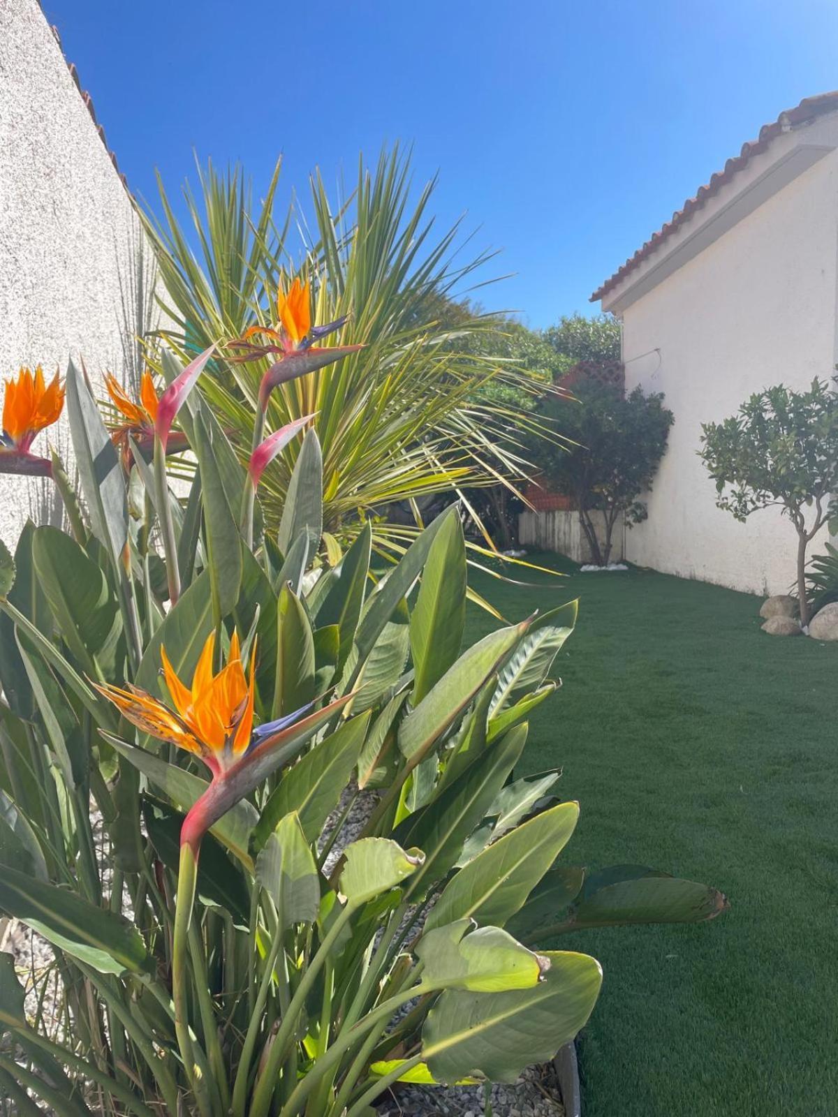 Belle Villa Classee 4 Etoiles Proche Plage Avec Jardin Saint-Cyprien  Exteriér fotografie