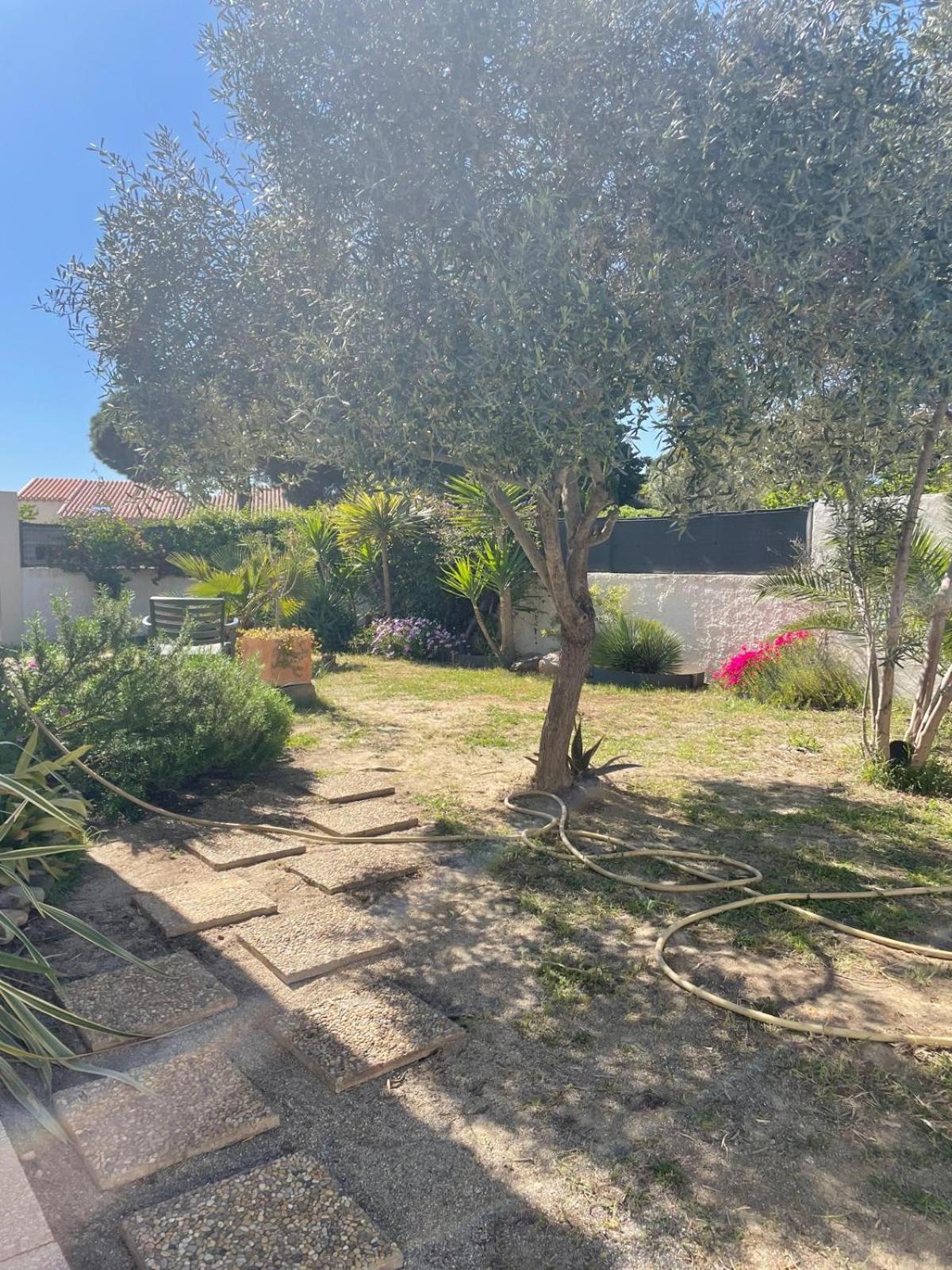 Belle Villa Classee 4 Etoiles Proche Plage Avec Jardin Saint-Cyprien  Exteriér fotografie